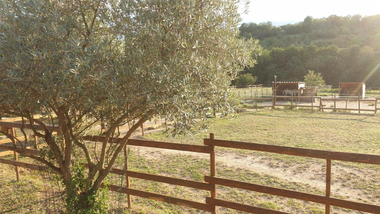 Chambre D'Hotes Le Petit Ranch Bed & Breakfast Los Masos Exterior photo