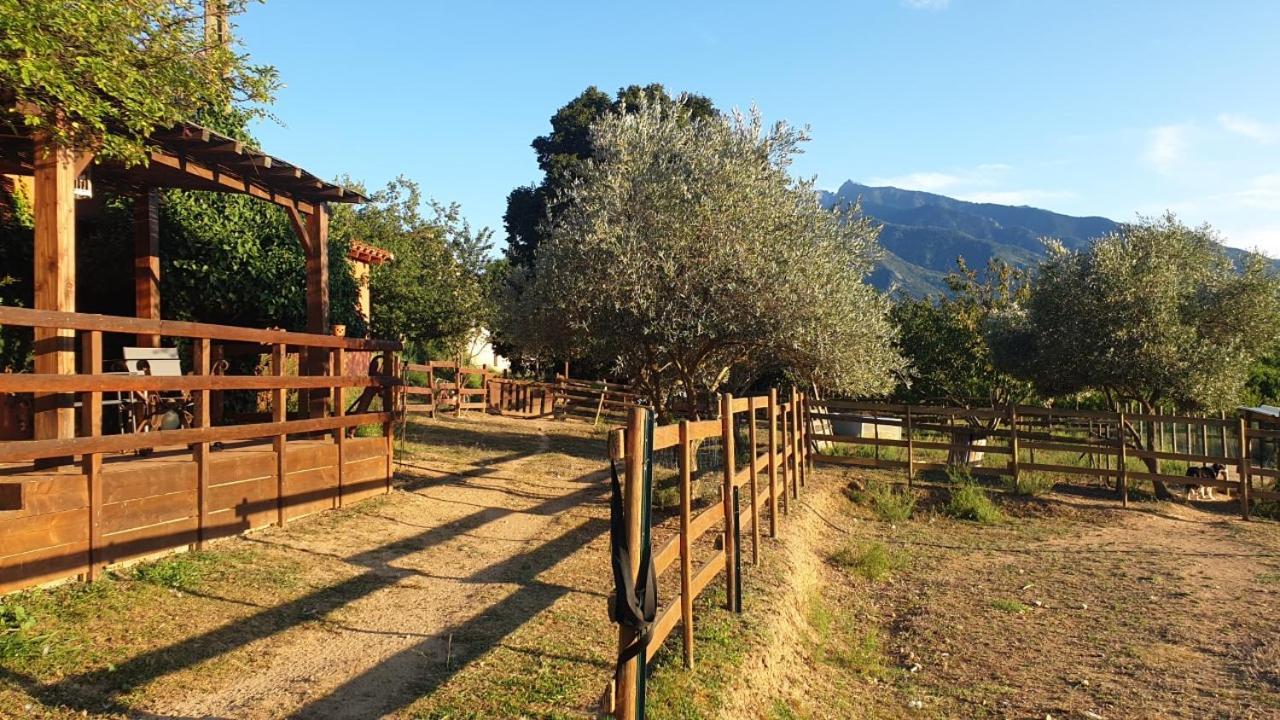 Chambre D'Hotes Le Petit Ranch Los Masos Exterior photo