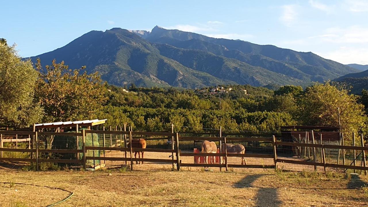 Chambre D'Hotes Le Petit Ranch Bed & Breakfast Los Masos Exterior photo