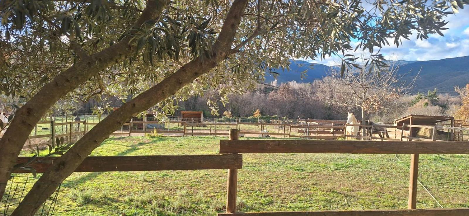 Chambre D'Hotes Le Petit Ranch Los Masos Exterior photo
